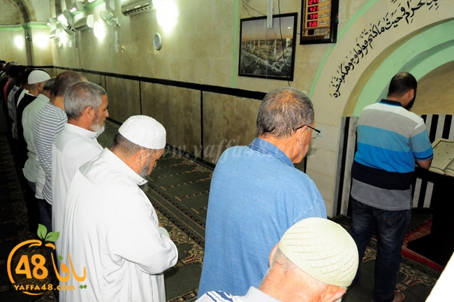 trawe7 ramla kaber (15).JPG